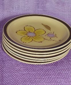 6 sun blossom stoneware 7 1/2 inch plate set - wildchild708